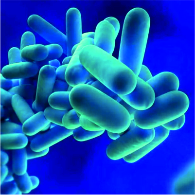 Basics of Waterborne Diseases